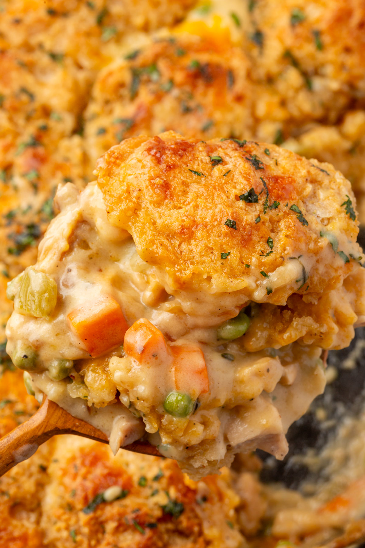 A close-up of a wooden spoon holding a serving of creamy chicken pot pie with vegetables and a golden biscuit topping, with more of the dish visible in the background.