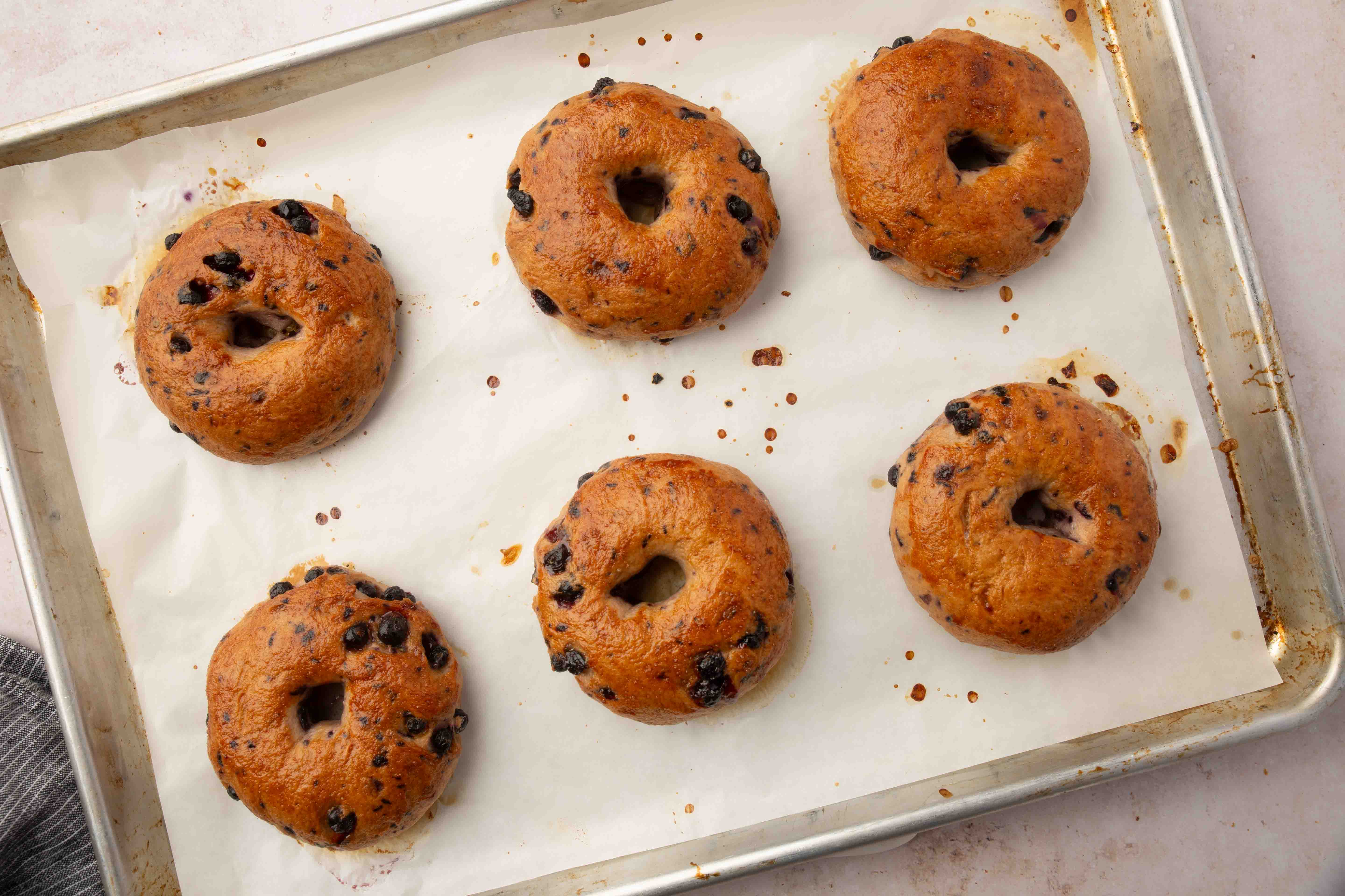 Six baked bagels with visible dried blueberries are arranged on a parchment-lined baking sheet. The bagels are golden brown with small spots of gooey blueberries.