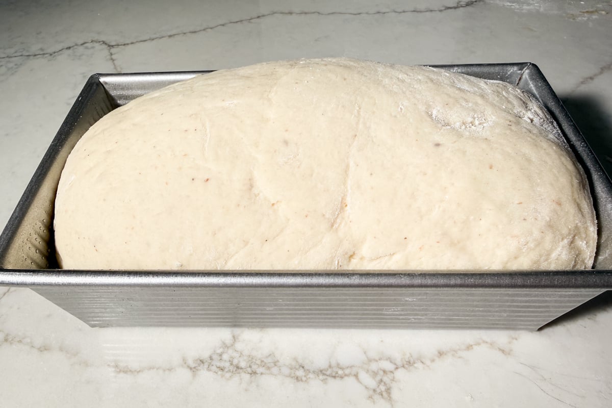A rectangular metal loaf pan filled with risen gluten-free bread dough.
